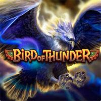 Bird Of Thunder